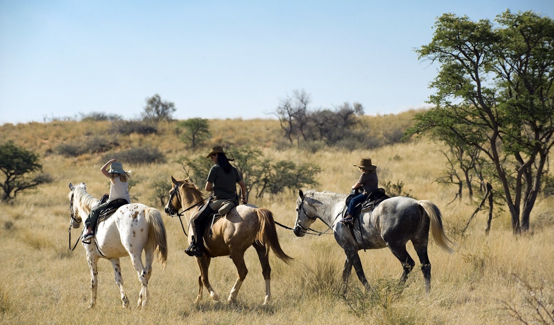 horseriding safari in south africa