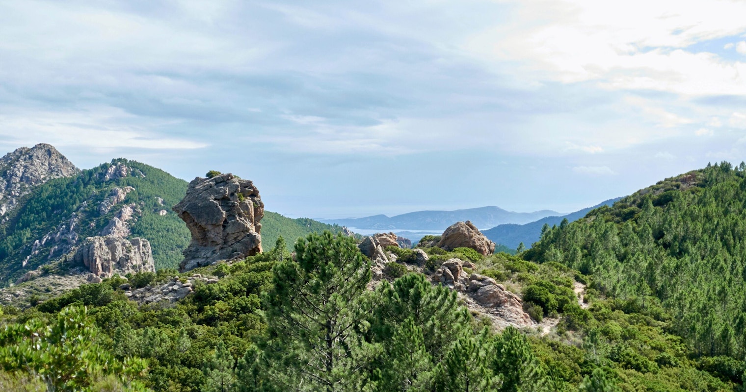 A Breath of Fresh Air: Embracing Nature and Tradition in the French Countryside - Introduction