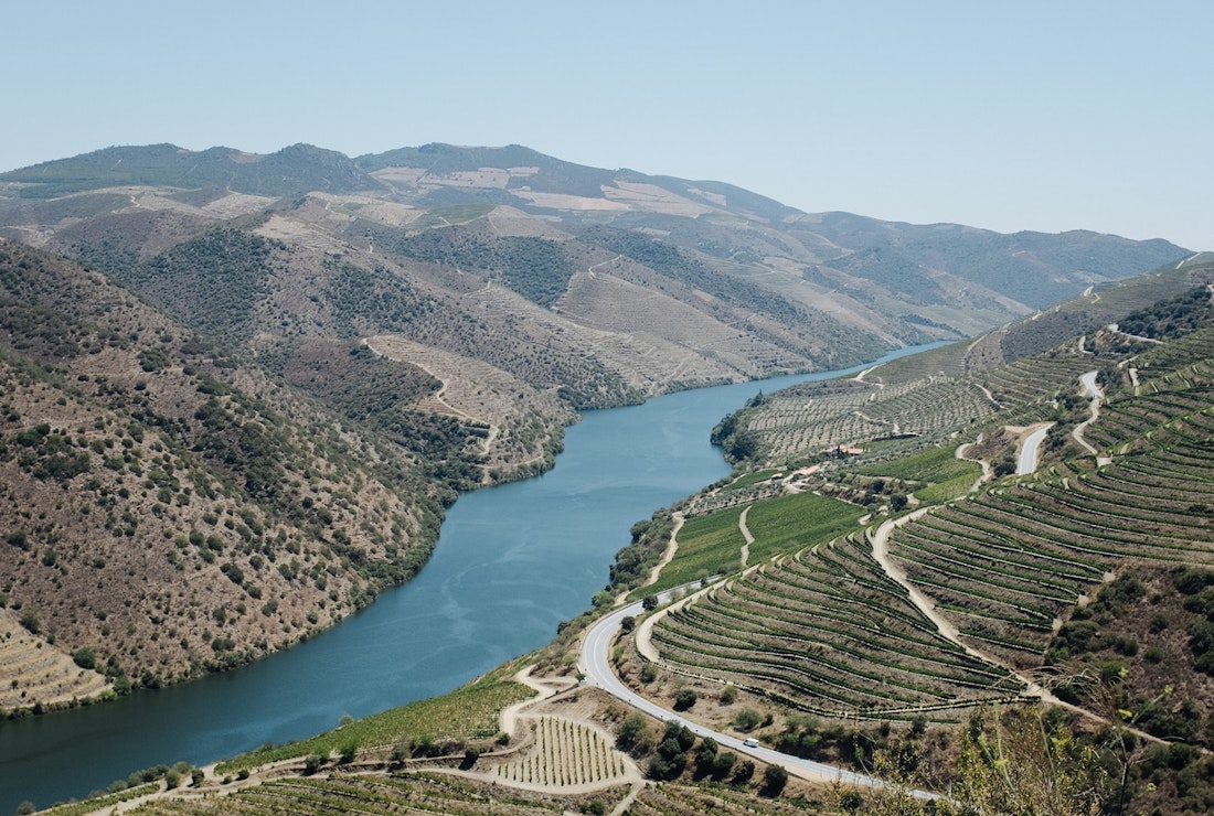 Douro Valley vineyards
