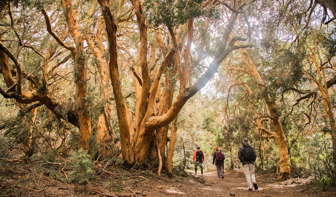Bariloche hiking in argentina