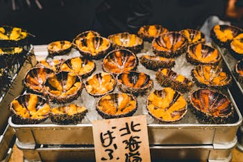 Japan market sea urchins