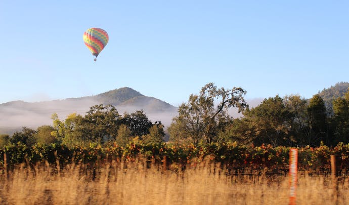 A hot air balloon flies over Napa Valley in the USA, North America