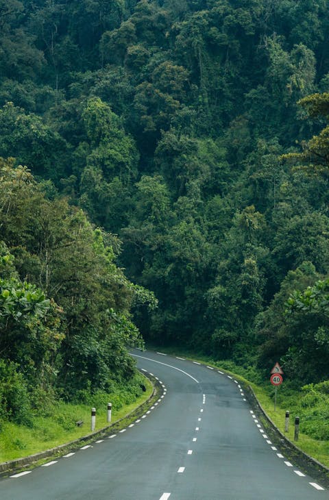 Rwanda roads into the jungle