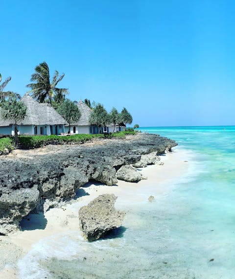 Beautiful coastline and beach on Zanzibar