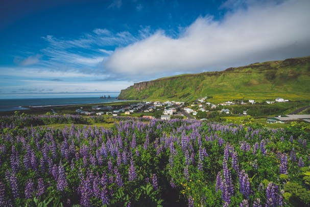Summer in Iceland with