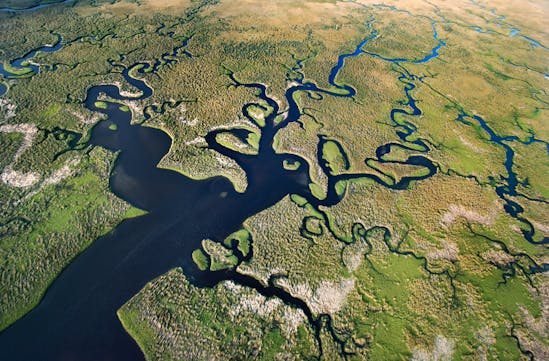 Florida everglades from above