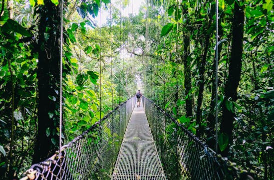 Hanging bridges, Costa Rica