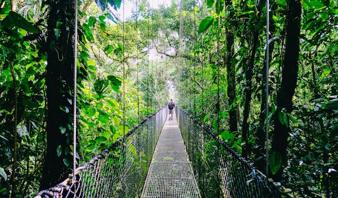 Hanging bridges, Costa Rica