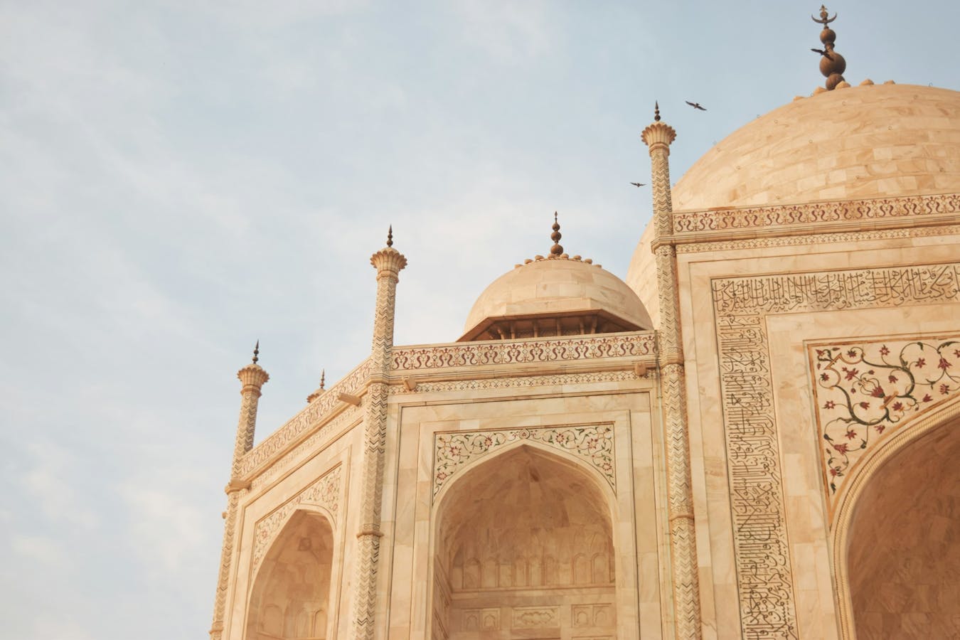 Close up of Taj Mahal, Agra, India