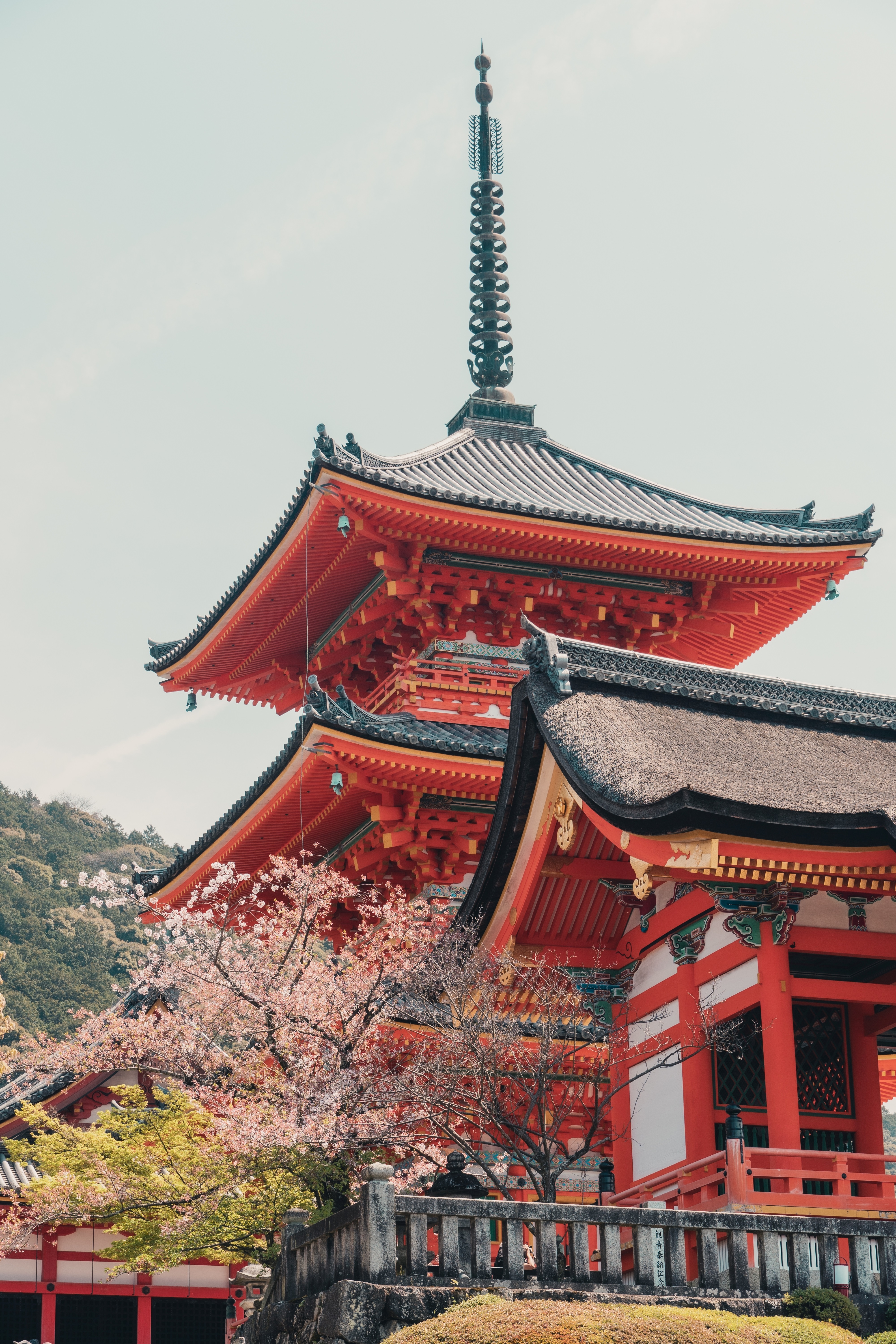 Amazon.com: Yushinv Cherry Blossom Tree Building Set with