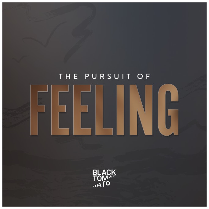 The Pursuit of Feeling album cover